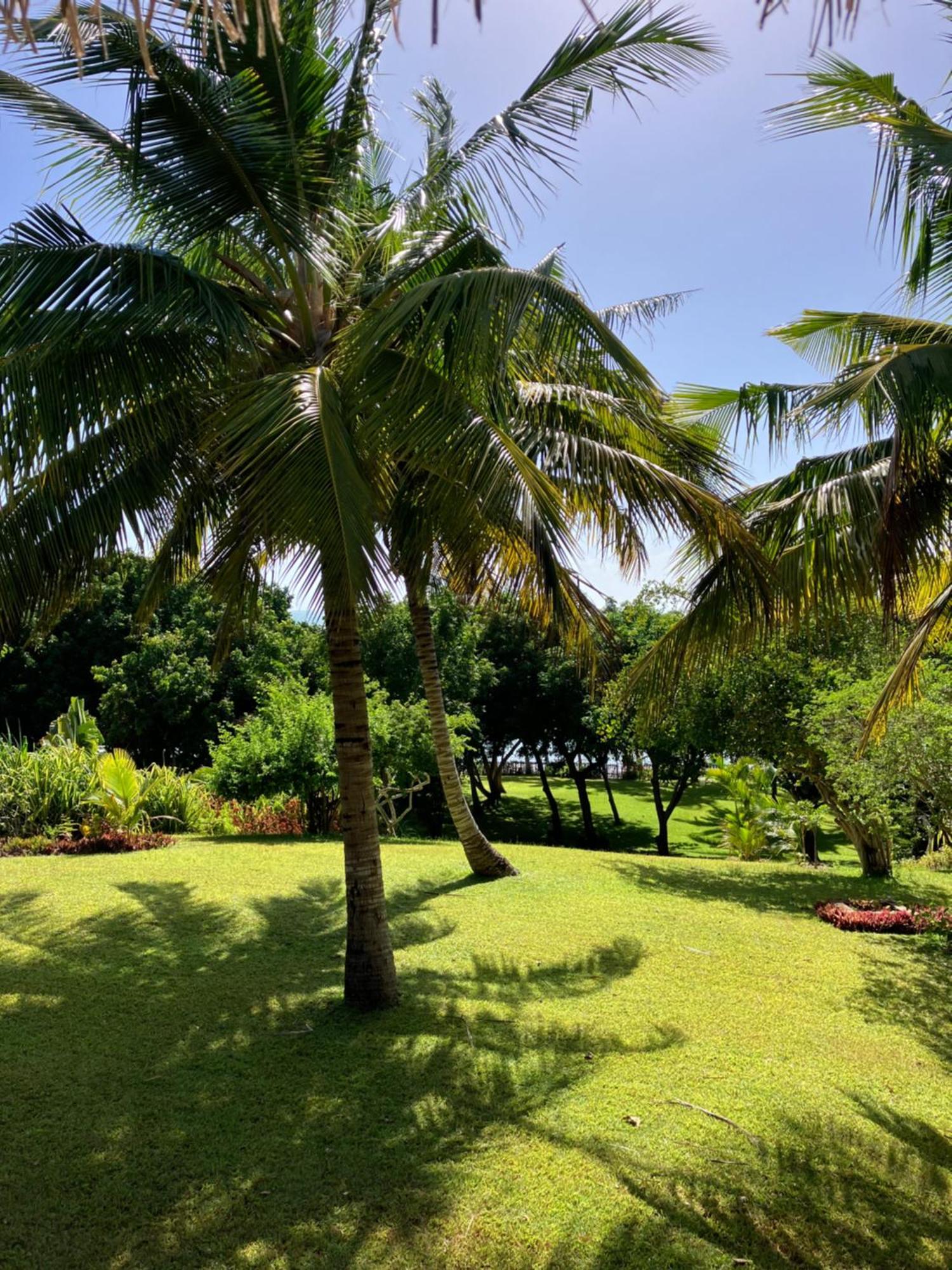 Ebony Beach Villa Vilanculos Exterior photo